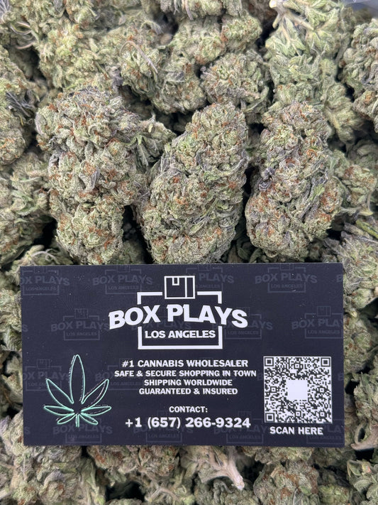 Gelato King