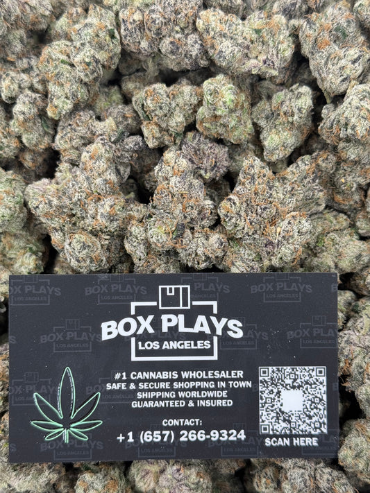 Wild Berry Gelato