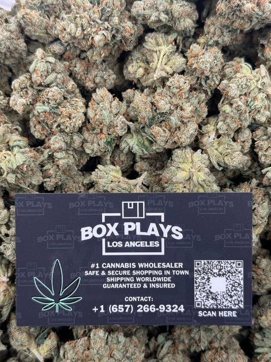 King Louie OG