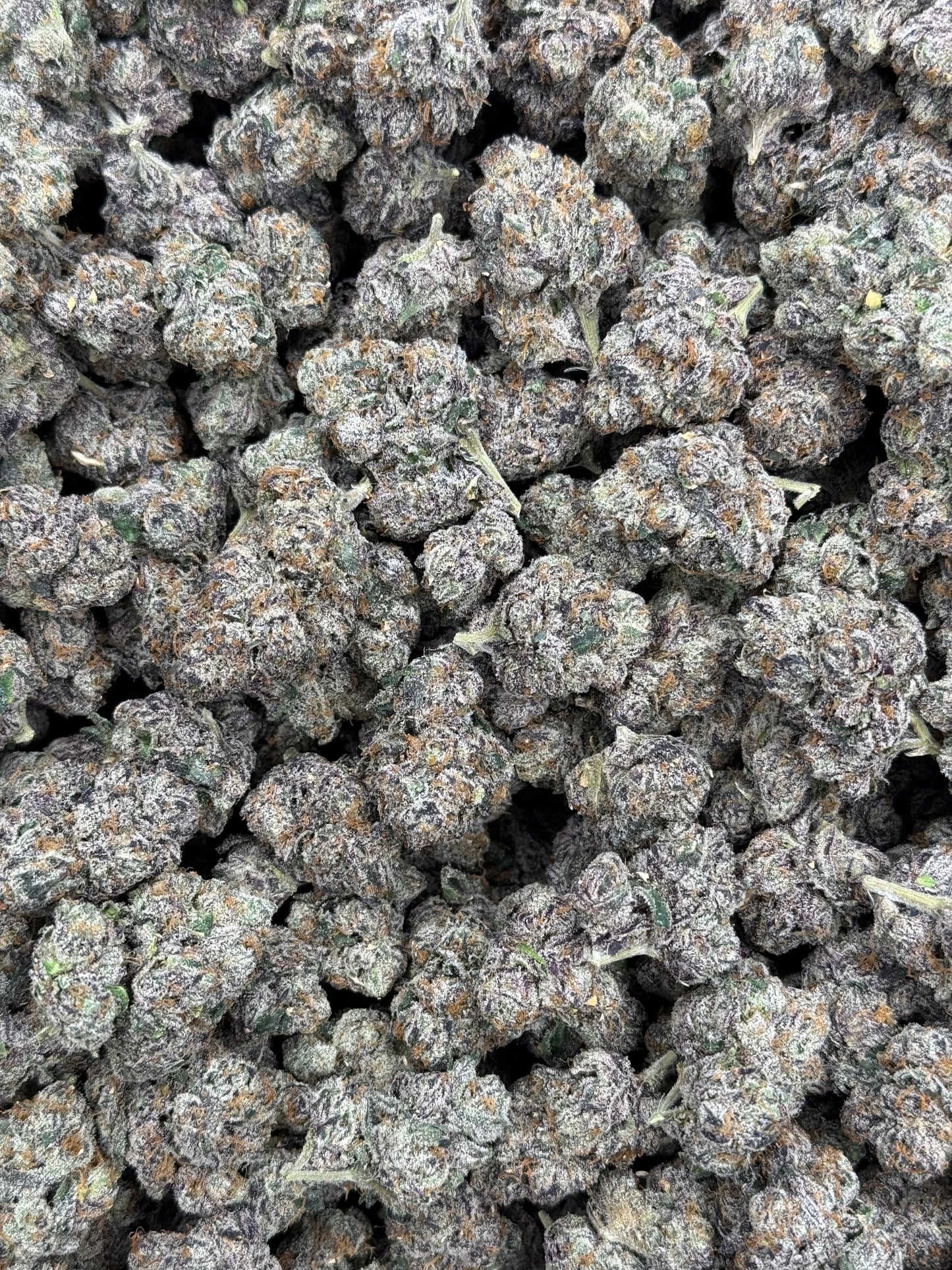 Pink Guava Runtz
