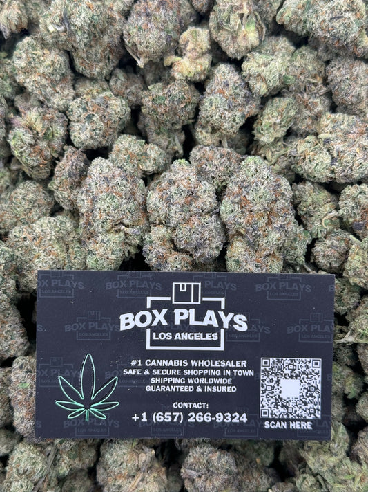 White Cherry Gelato