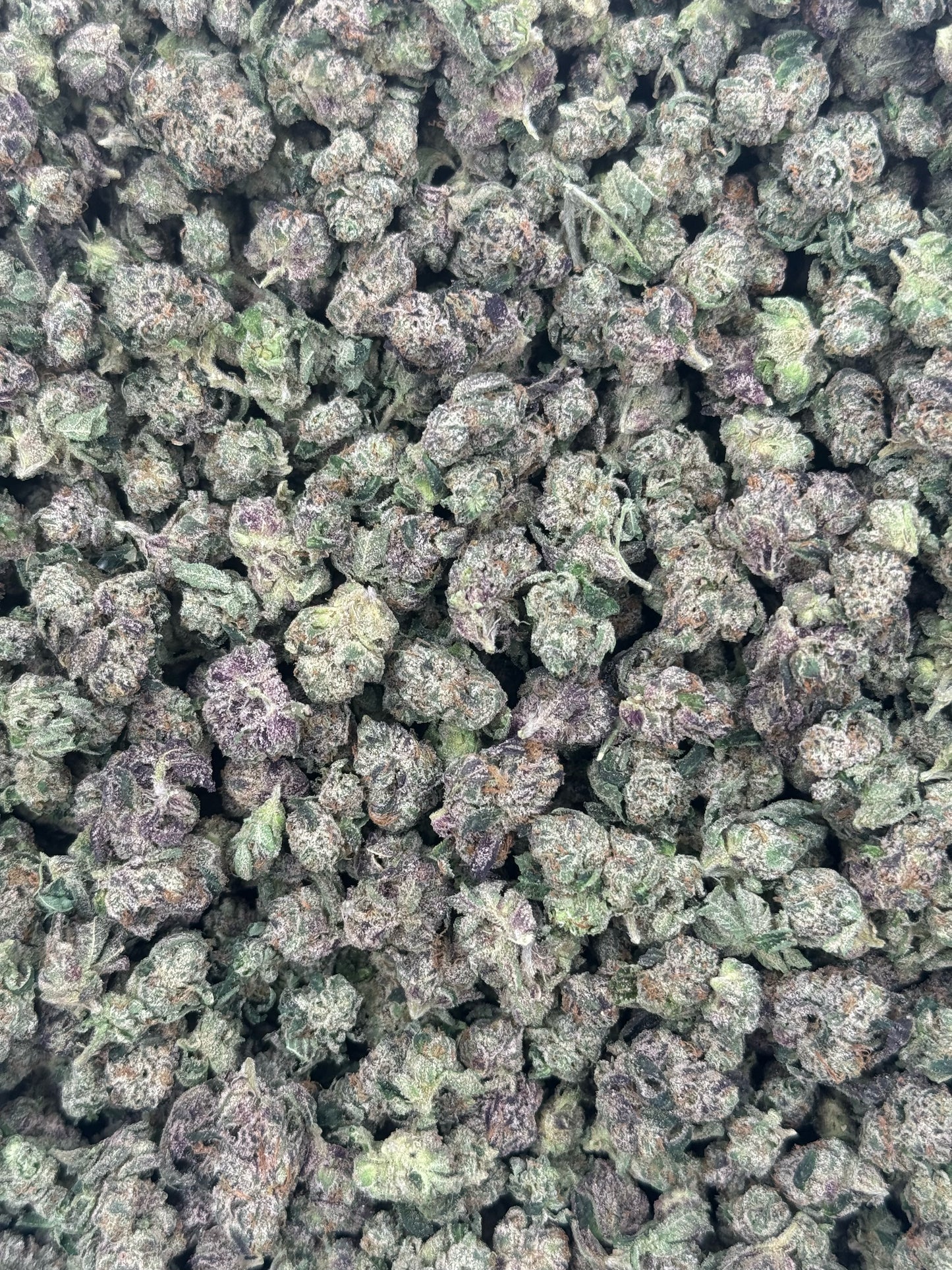 Warhead Small