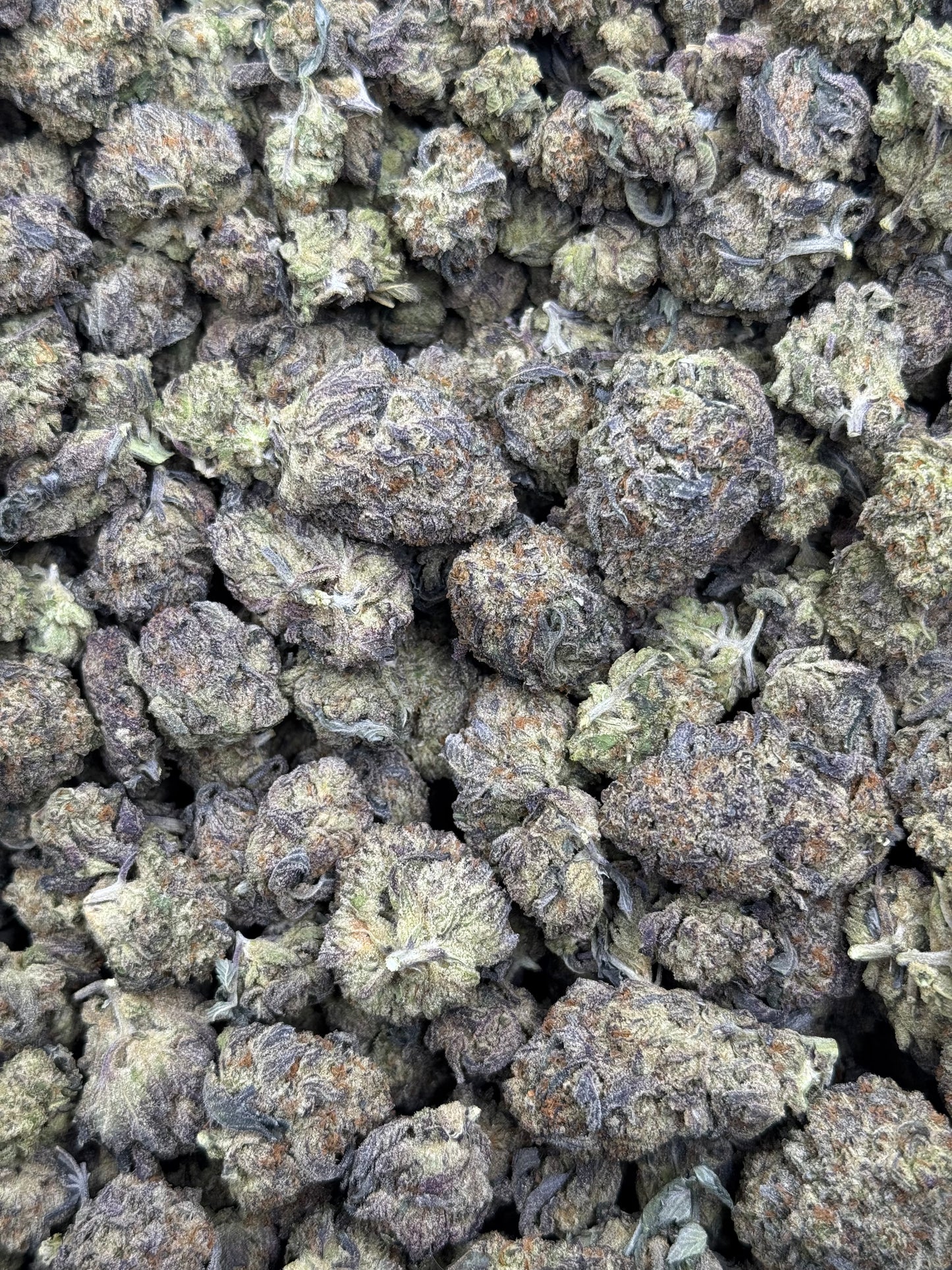 Purple Rain