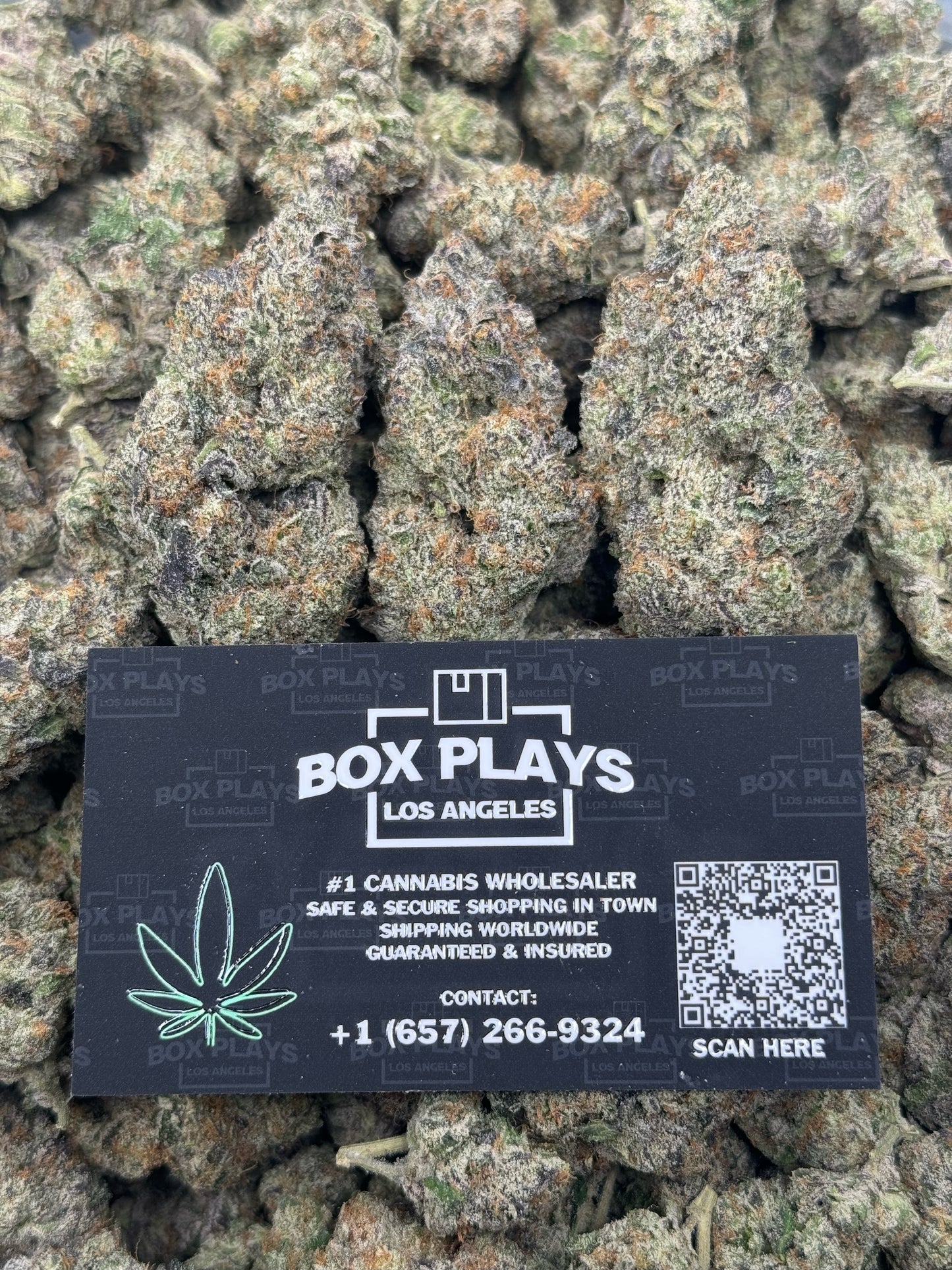 Purple Cream