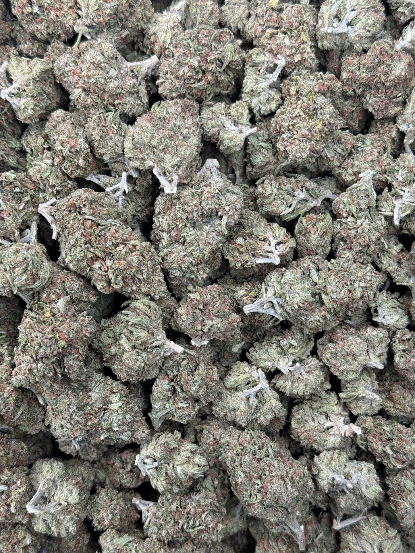 Blue lime Pie