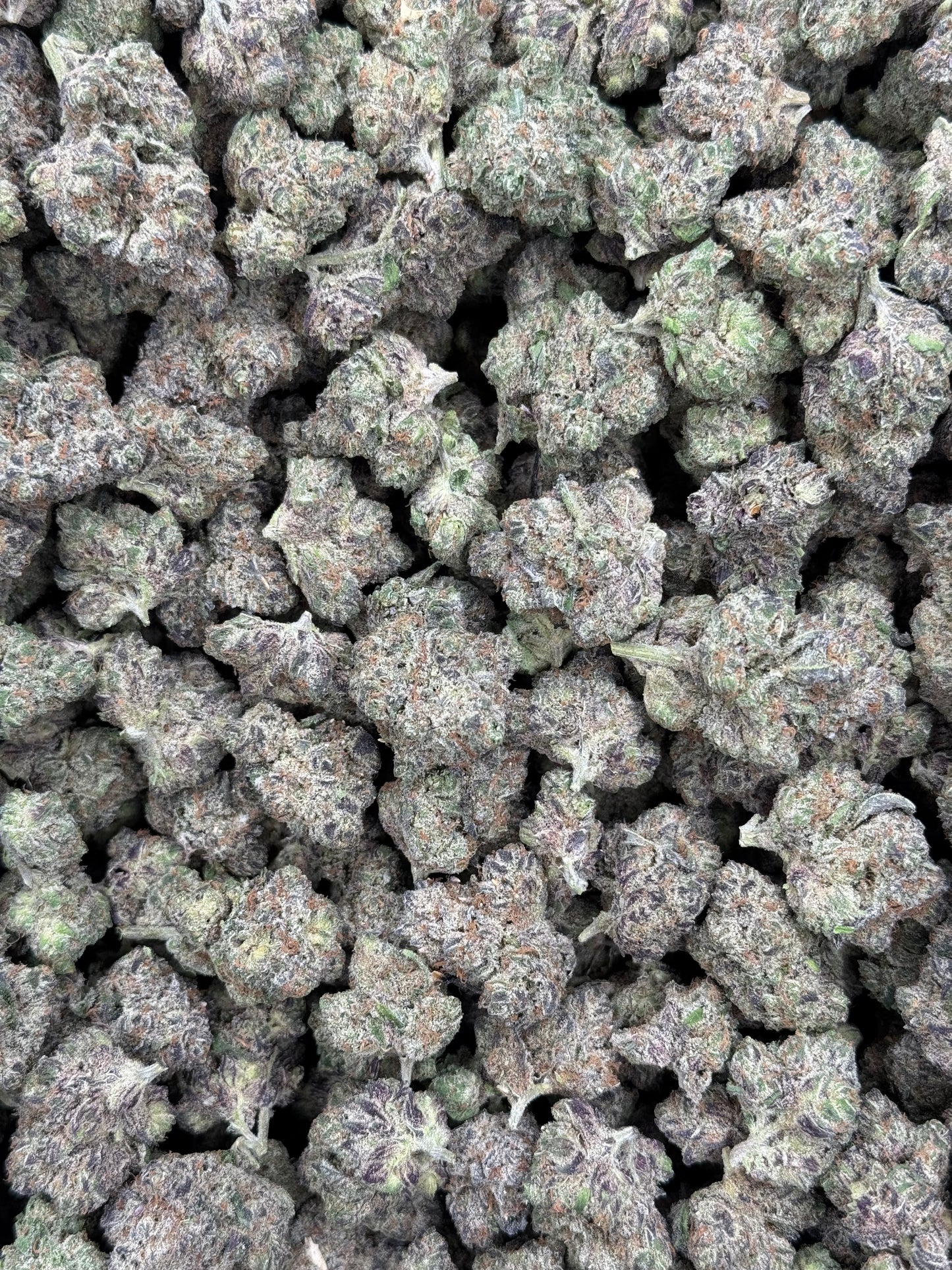 BlueBerry Gelato