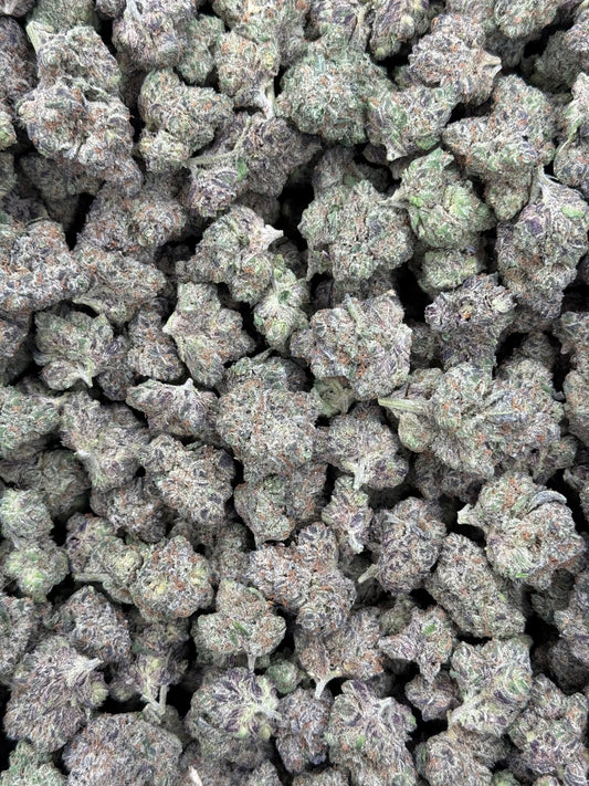 BlueBerry Gelato