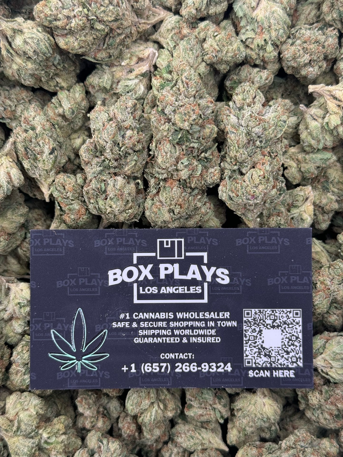 Kosher Kush