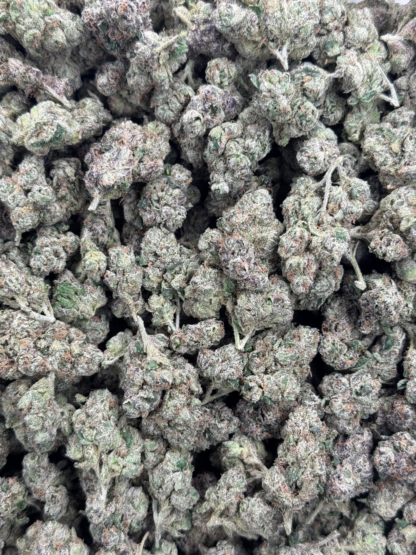 White Peach Gelato