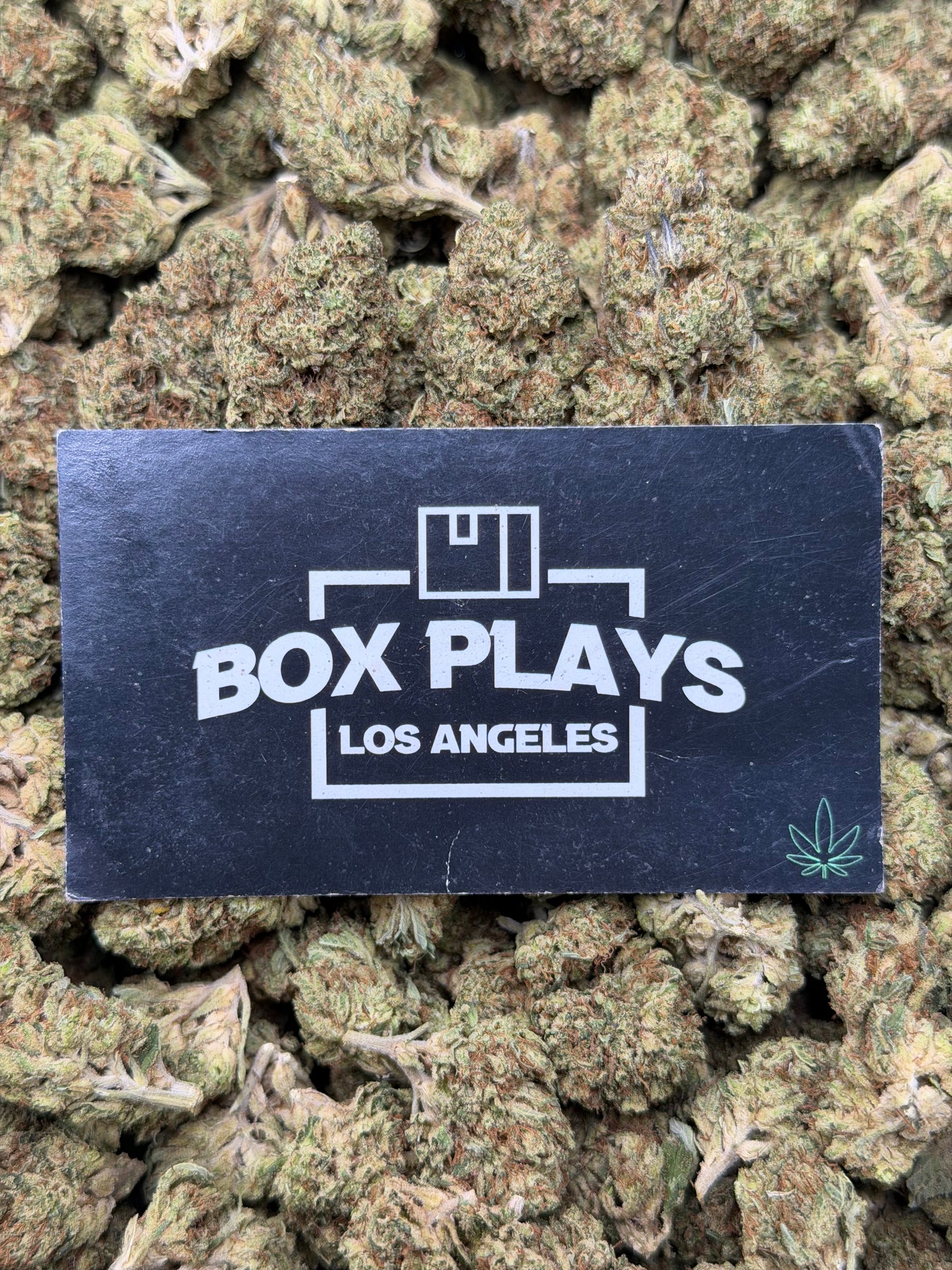 Paris OG