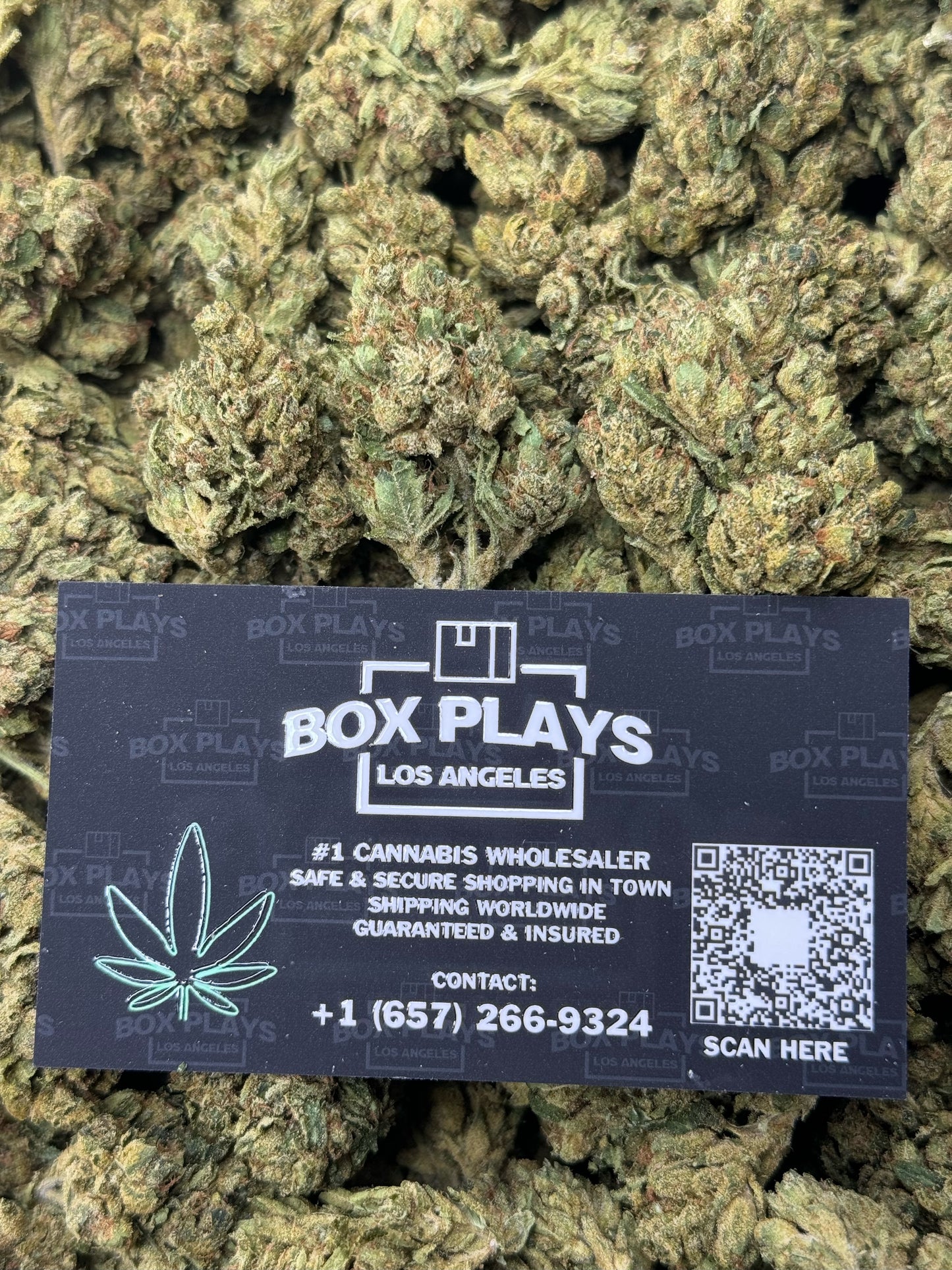 Legend OG