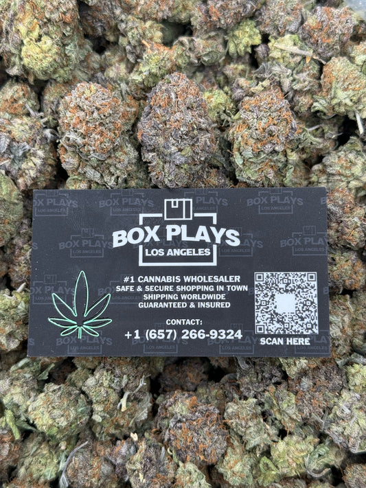 Indoor Purple Bubba