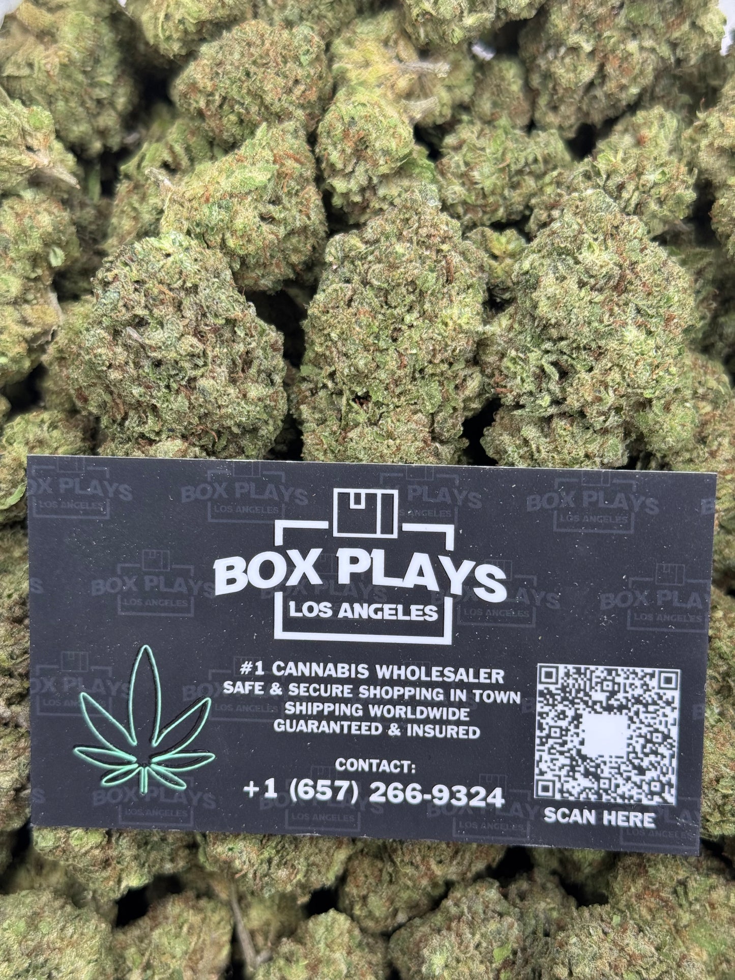 Girl Scout Cookies