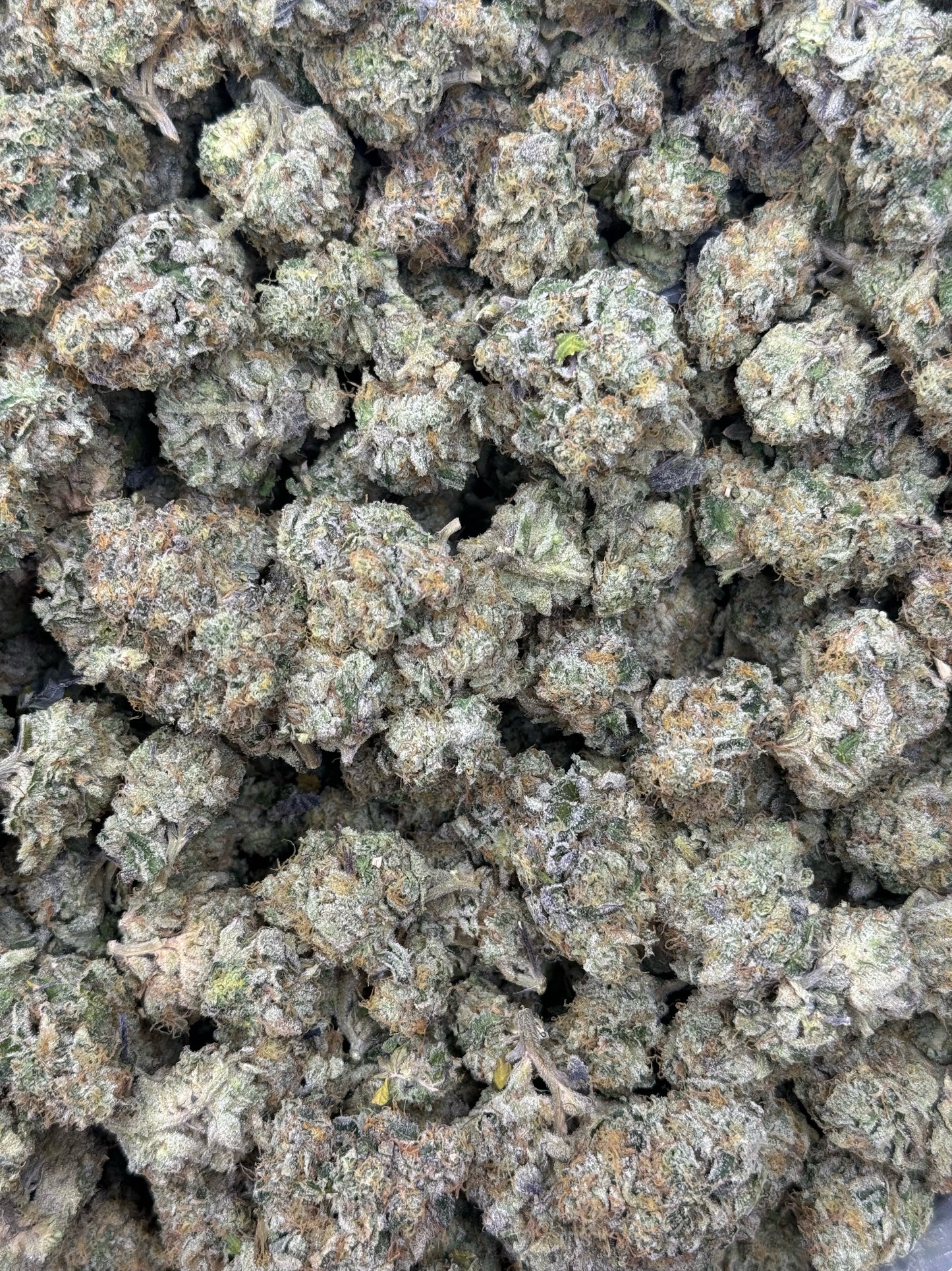 Lcg
