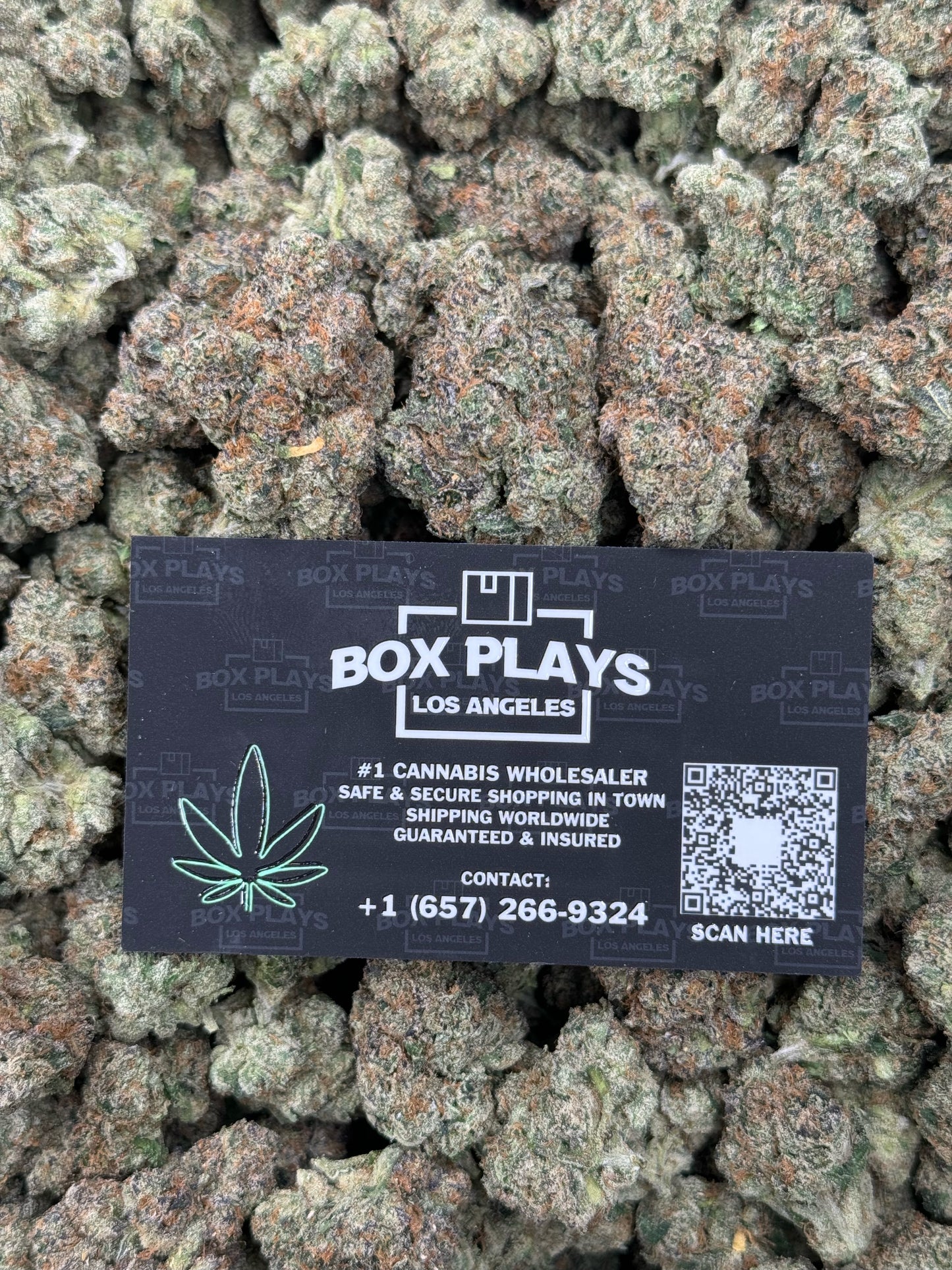 Blue Cherry Gelato
