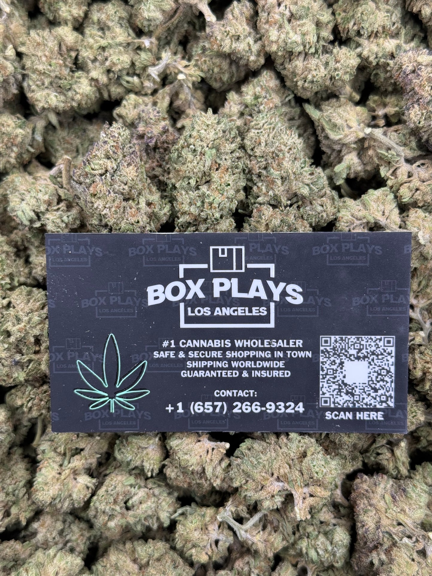 Gelato King