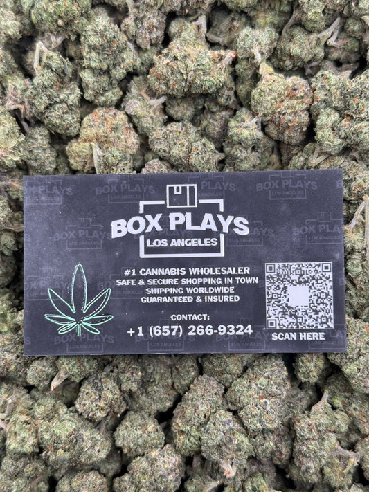 Blue Guava Mediums