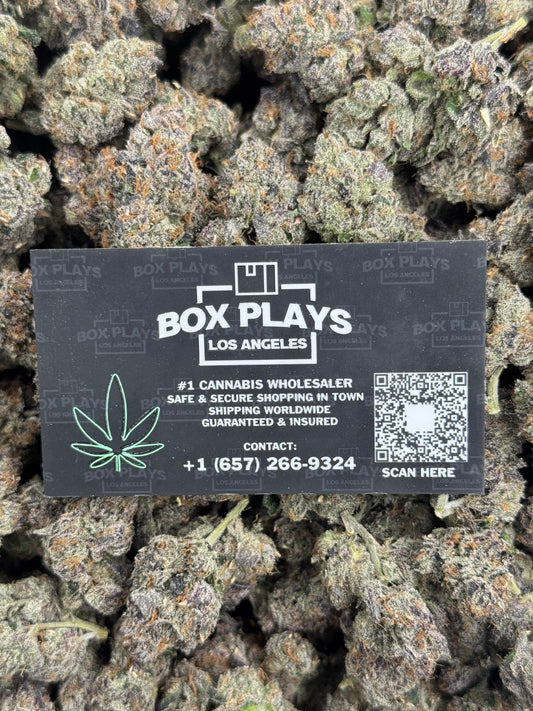 Pink Watermelon Gelato