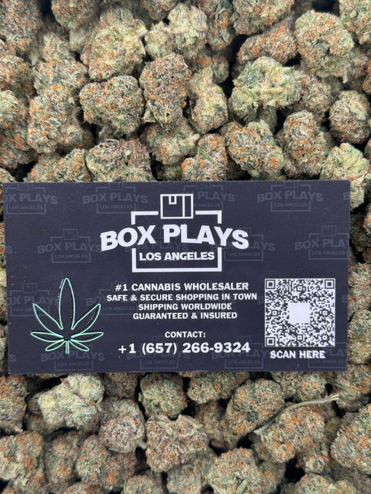 Gelato 41 Mediums
