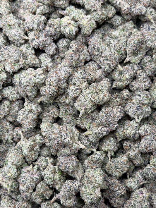 LA Candy